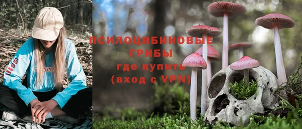 прущий лед Горняк
